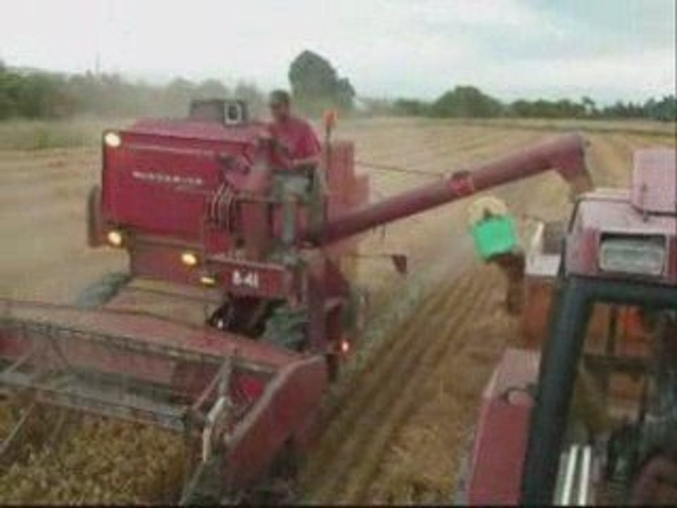 moisson a l'ancienne
