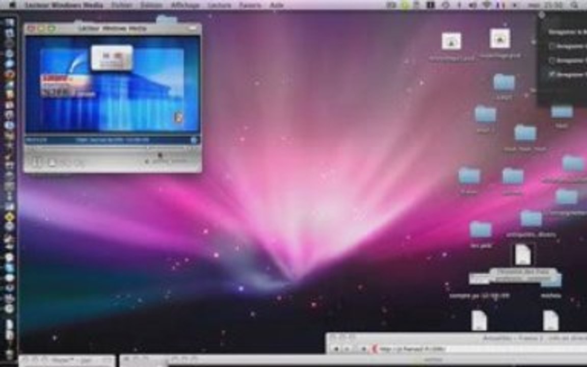 frais professionnels des professionnels de la politique