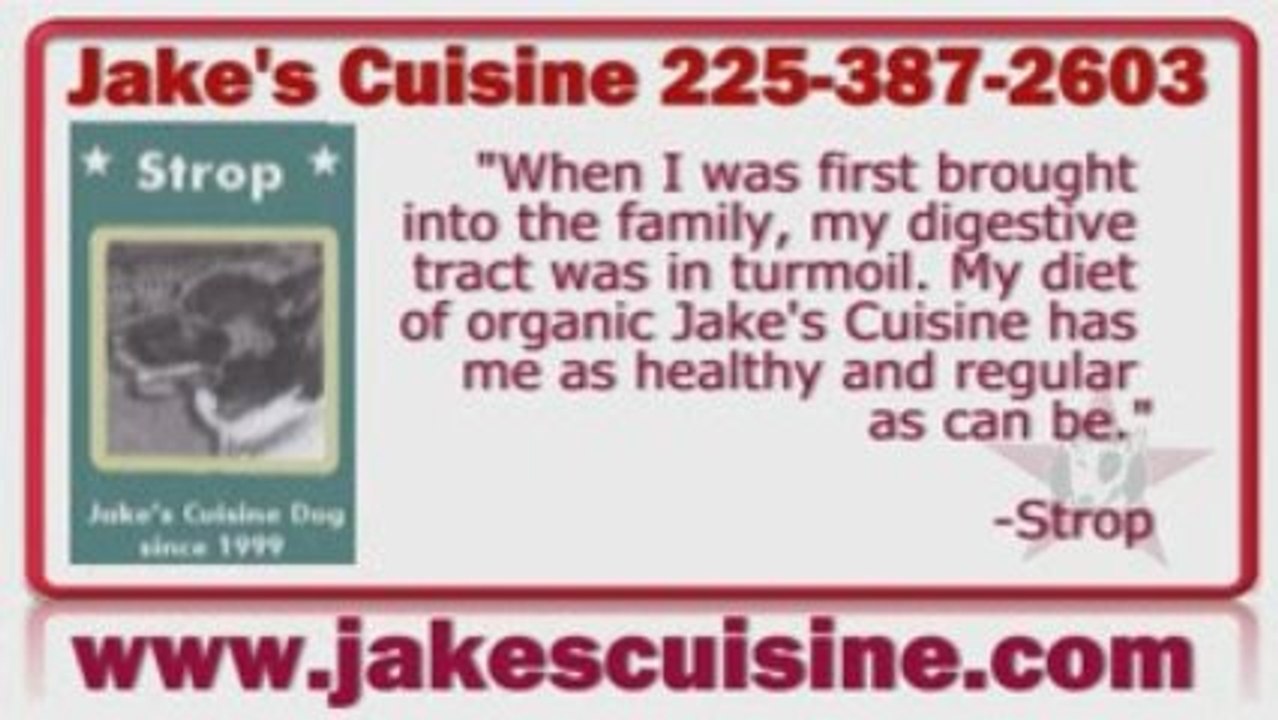 Organic Dog Food