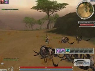 Guild Wars Farm Ritualiste solo
