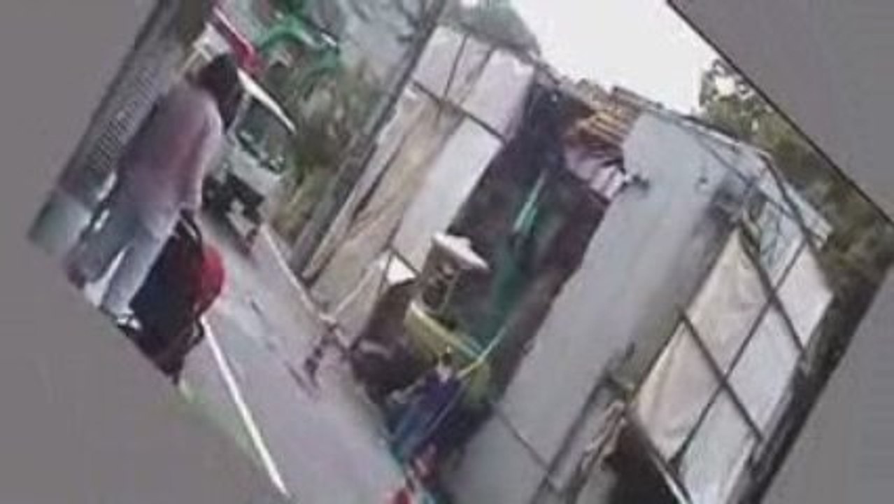 deerhoof - jagged fruit