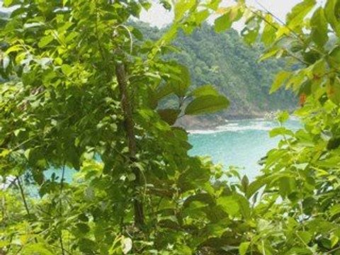 Playa Manuel Antonio, Quepos, Costa Rica