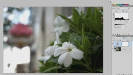 158 Understanding Adobe Photoshop - Color Correction: Levels