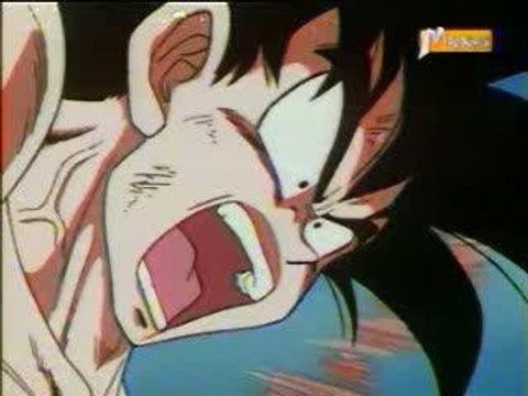 Dbz - Sangoku et Végéta