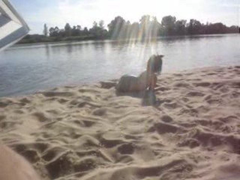 A la plage