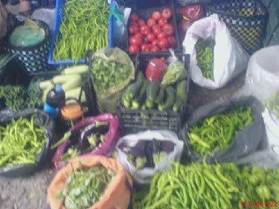 SİNOPUN ŞİRİN İLÇESİ GERZEDEN RESİMLER