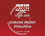 Témoignage Ecobiz : l'entreprise Domaine BRUNET