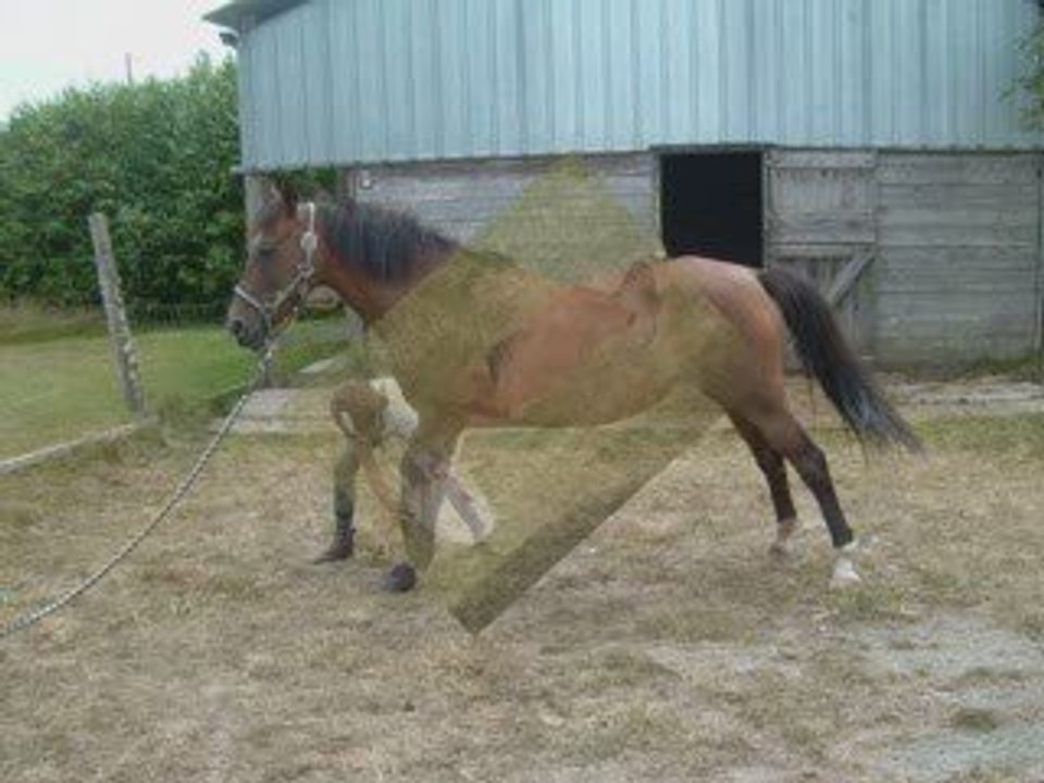 un jolie générique pour vous