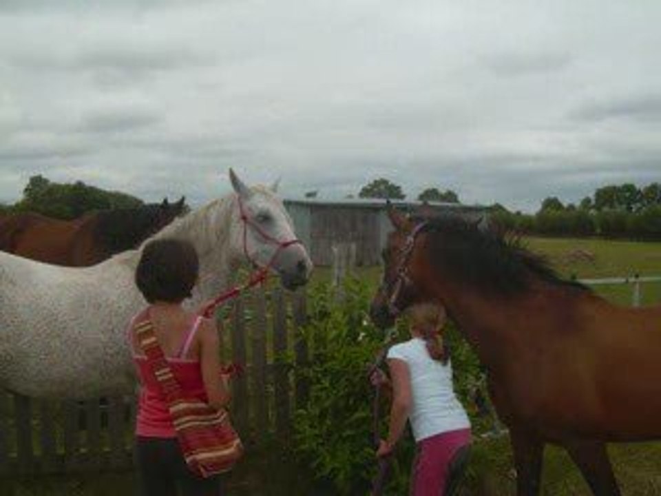 les meilleurs a mes yeux