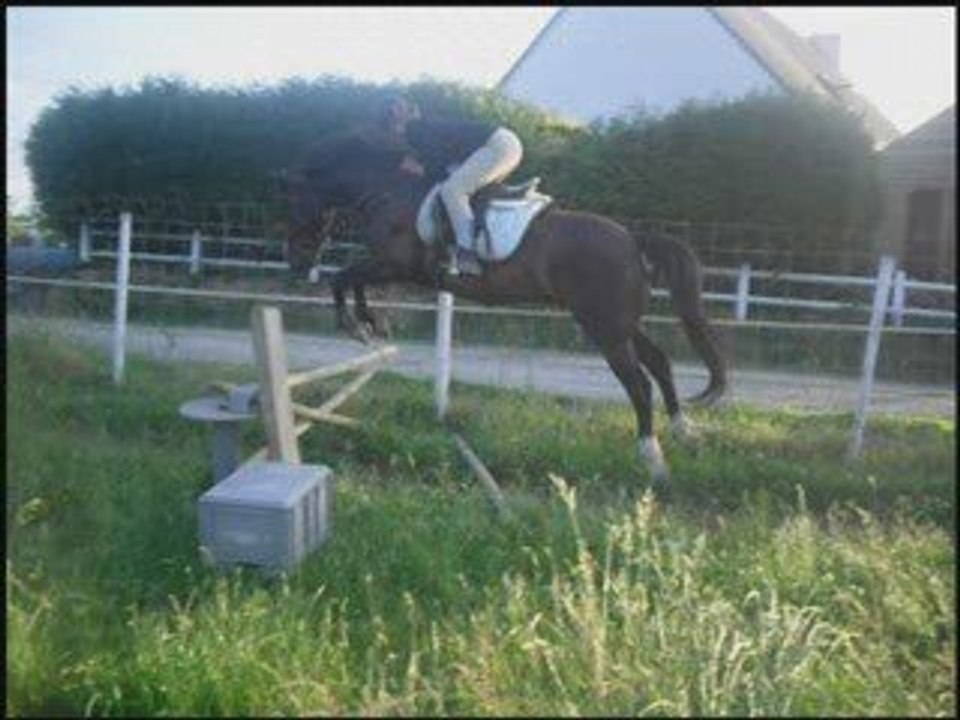 Joyce (L)
