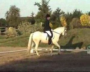 emilie dressage quampino new