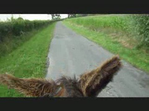 martin pérou 020809