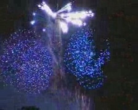 Feu d'artifice 14 Juillet 2009 - Tour Eiffel