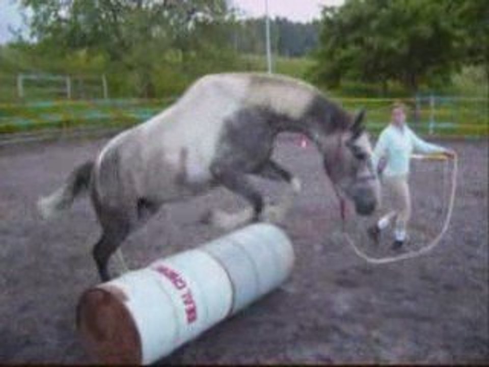 défis parelli ac Safran