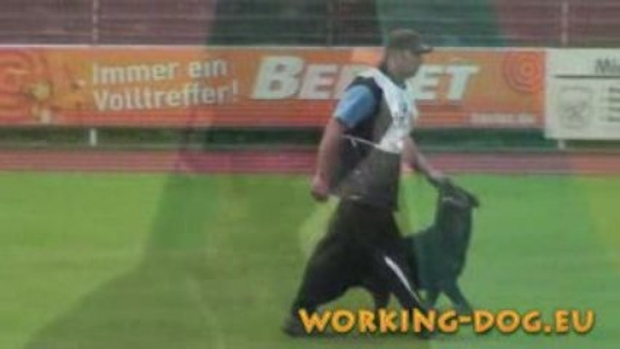 VDH 2009 Herne Trailer working-dog.eu