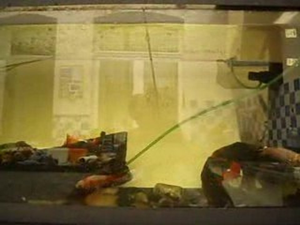 maxence a la peche 59270