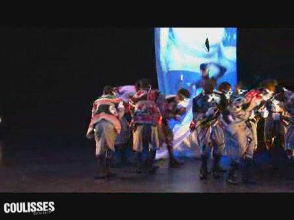 Paris quartier d'été 2009 / Robyn Orlin