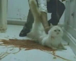 Debt Consolidation Company