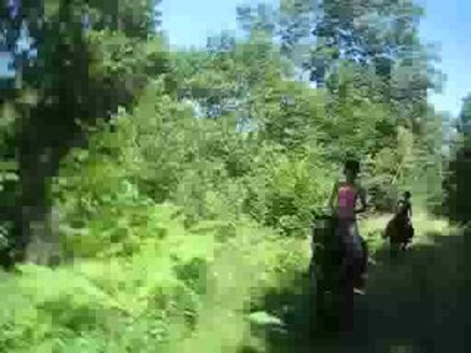 ballade du 6