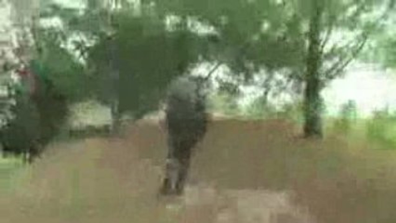 guerre (rémi gaillard)