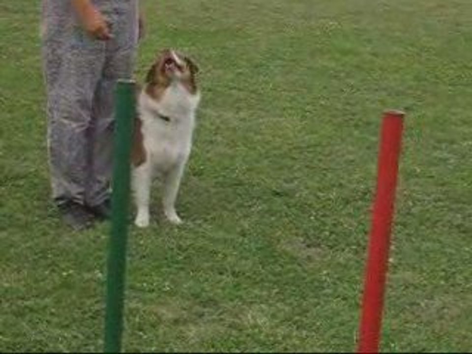 Déli, marche au pied, 6 aout 2009