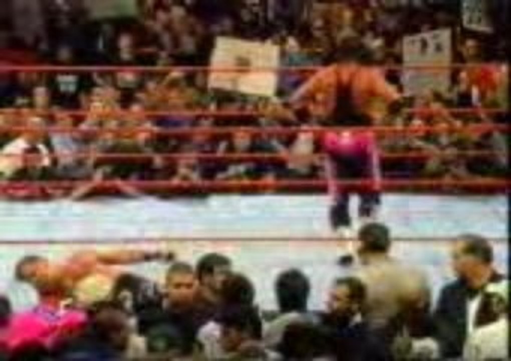 Bret Hart Arnaquer Par La WWE