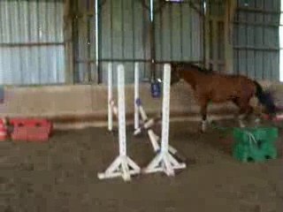 pangault du pont coz