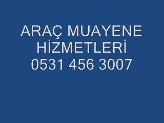 araç muayene randevu