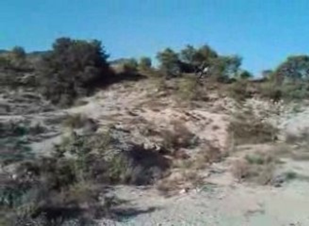 VID 00051-20090805-1908
