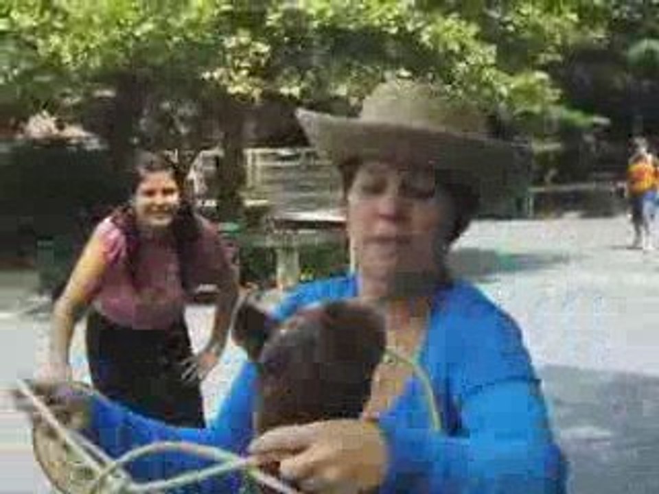 Breakfast in the Farmyard - The Maryland Zoo