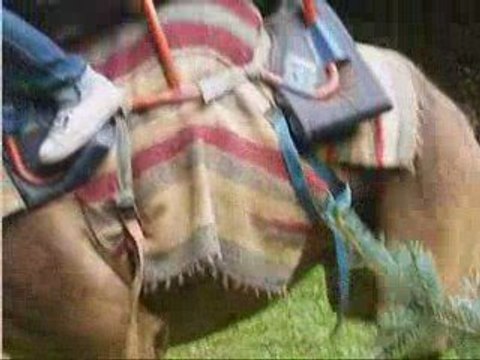 video : fete patronale des 1 et 2 aout 2009 le falgoux