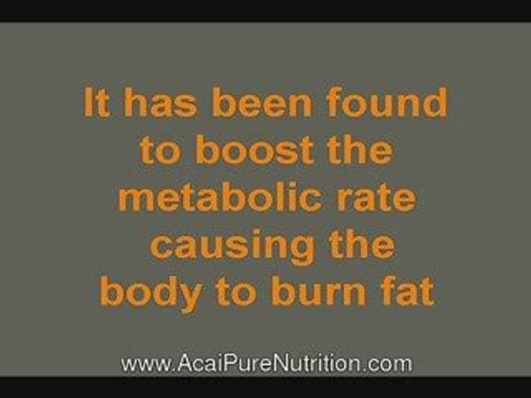 acai vitamins, acai antioxidant, does acai berry