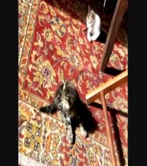 Je joue pour découvrir qui je suis