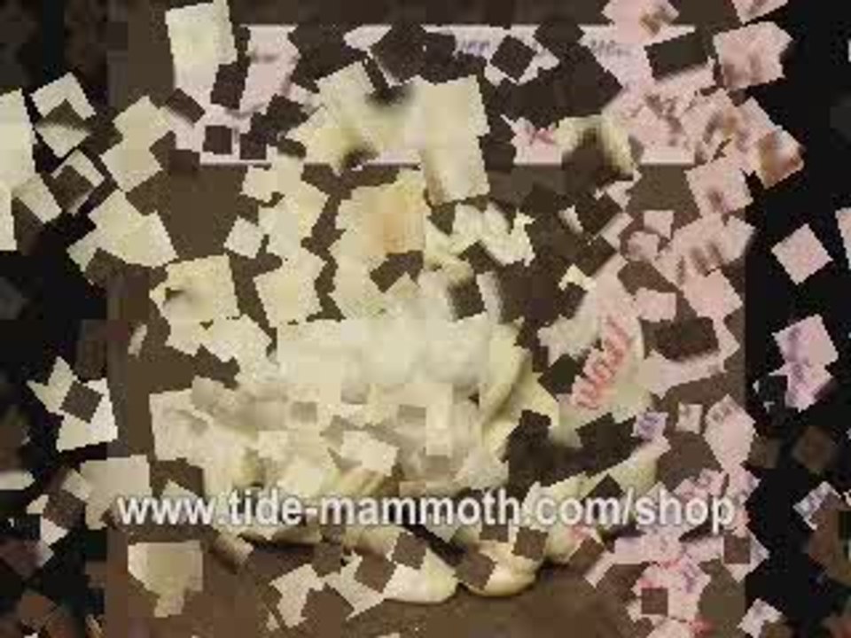 mammoth ivory netsuke 12 ZODIAC animals