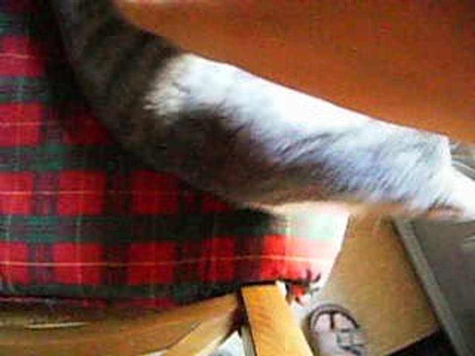 Elba