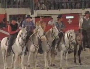 Olympiades. Le grau du roi. Manade Arlatenco