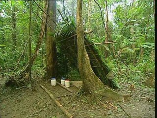 Stage survie en forêt guyanaise