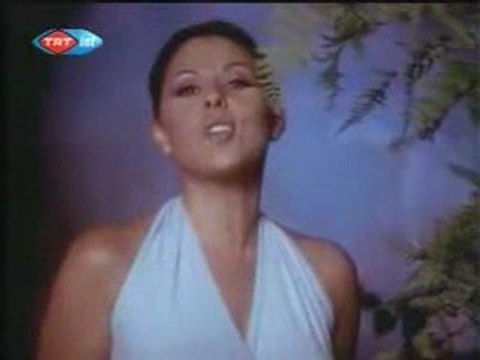 Nilüfer - Namussuz Akşamlar ( ineboluda.com)