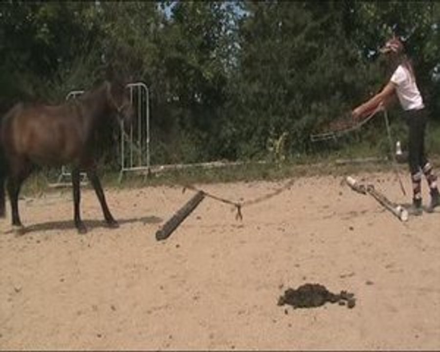 Equifeel le va et vient