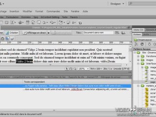 Dreamweaver - Fireworks : Expressions régulières