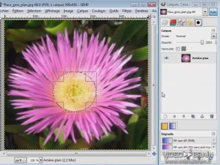 GIMP 2.6 : Qu'est-ce qu'une sélection ?