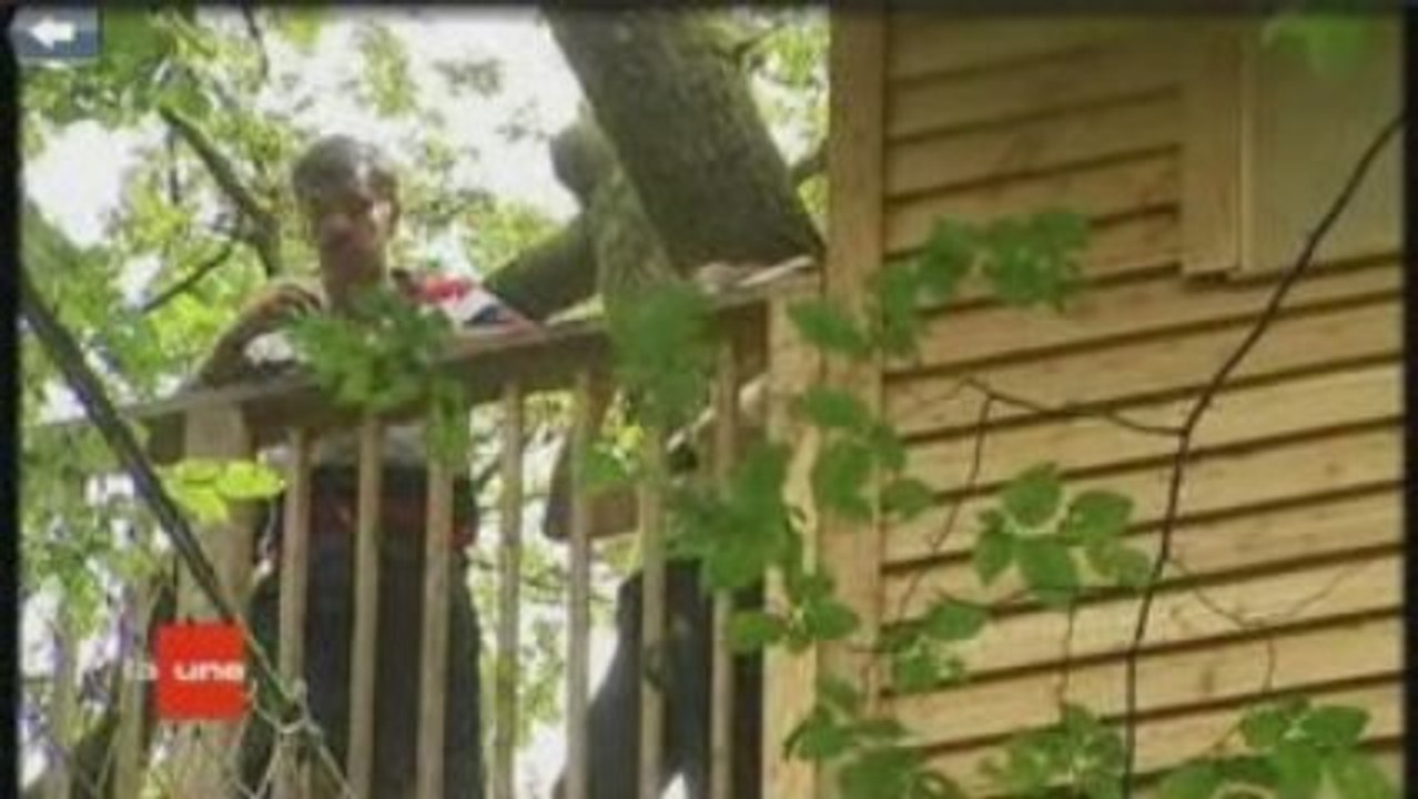 Cabane dans les arbres - Le chêne perché - Ardennes