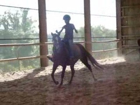 2 eme cours d'équitation de sylvie