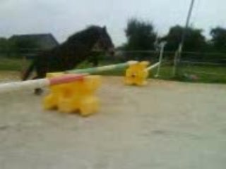 nanou & moi obstacle :)