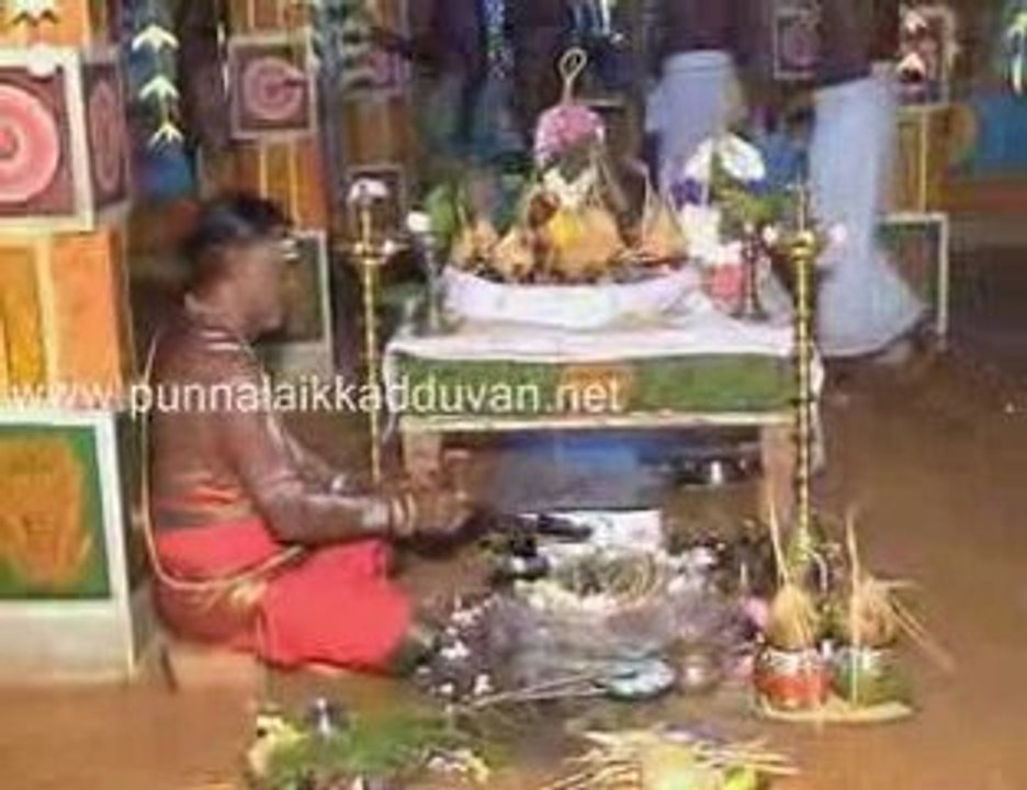 தேர்ர் திருவிழா விடியோ 2009 part 1 (punnalaikkadduvan)