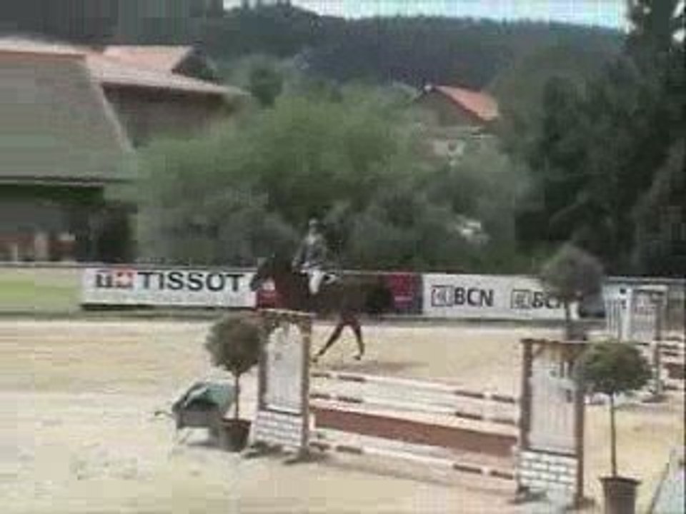 obelix 2009