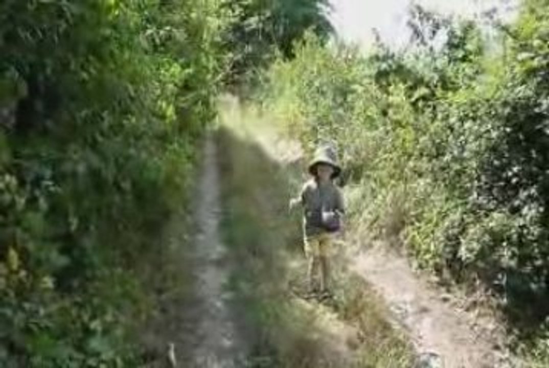 AYMERIC DANS LES BOIS  070809