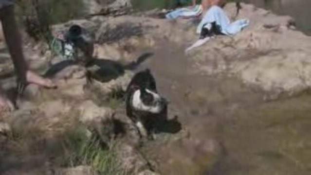 Swimming at waterfall saint Laurent Le Minier