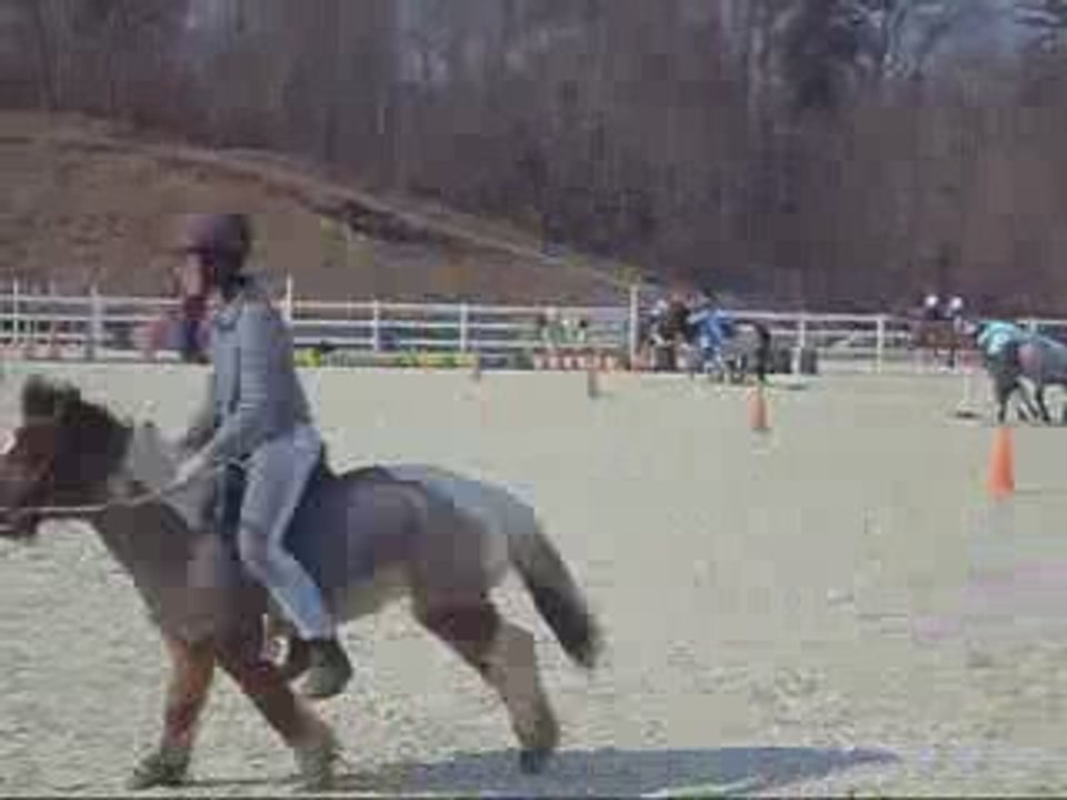 pony games a terre a cheval le 22 mars 2009