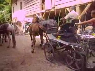 de retour aux écuries, on se gare ...